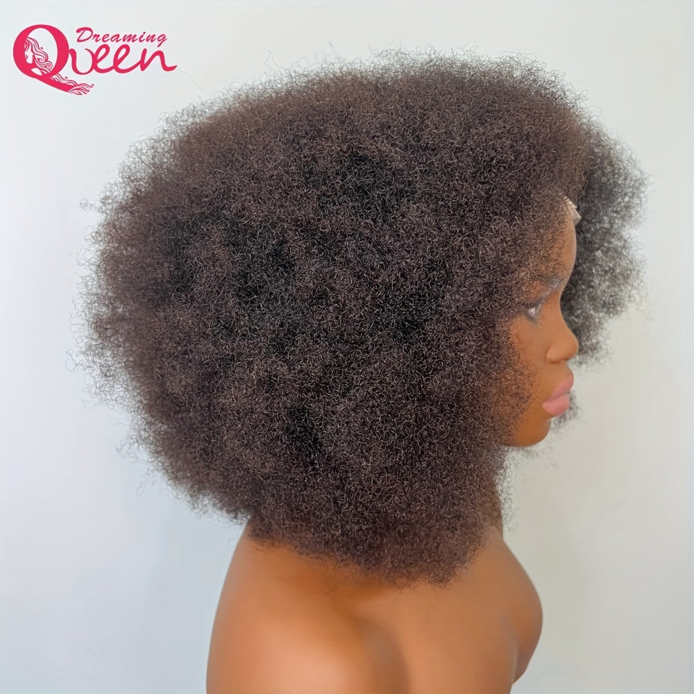 Afro Kinky Curly Lace Wig (180% Density )