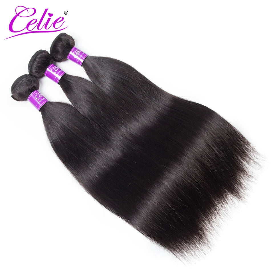 Malaysian Straight Hair 3 Bundles 100% Human Hair