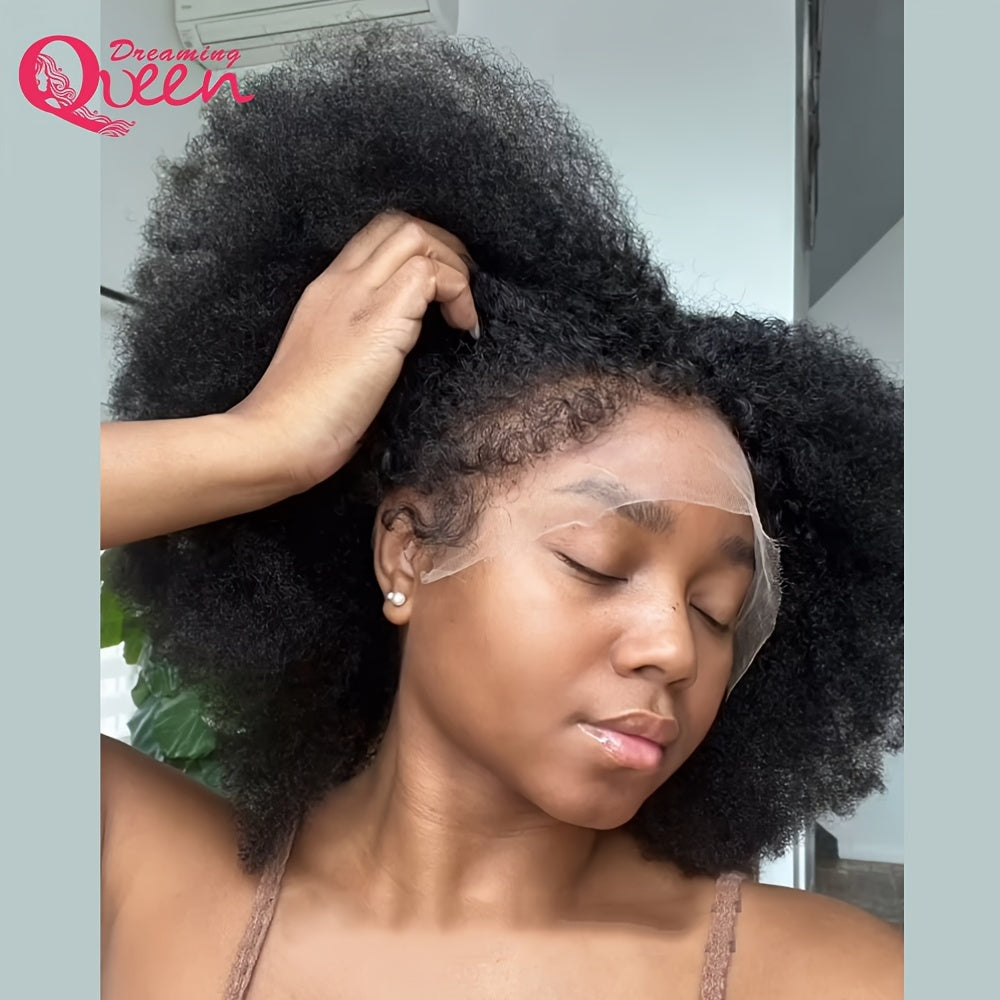 Afro Kinky Curly Lace Wig (180% Density )