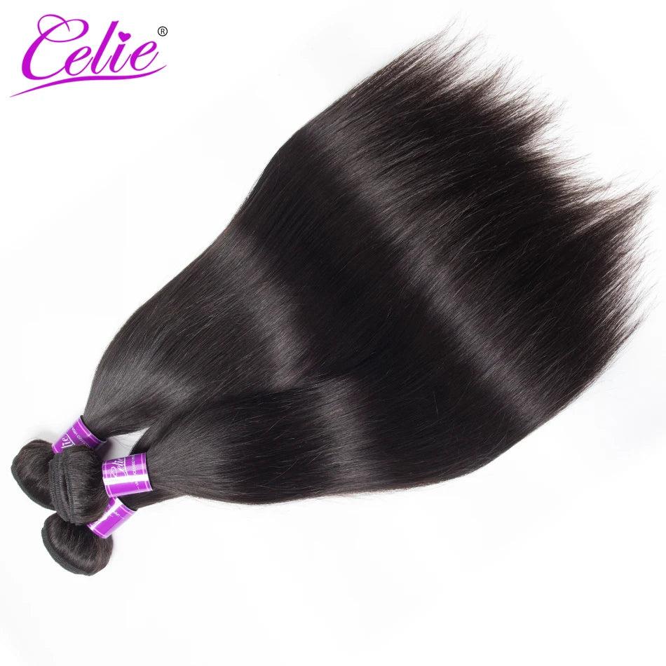Malaysian Straight Hair 3 Bundles 100% Human Hair