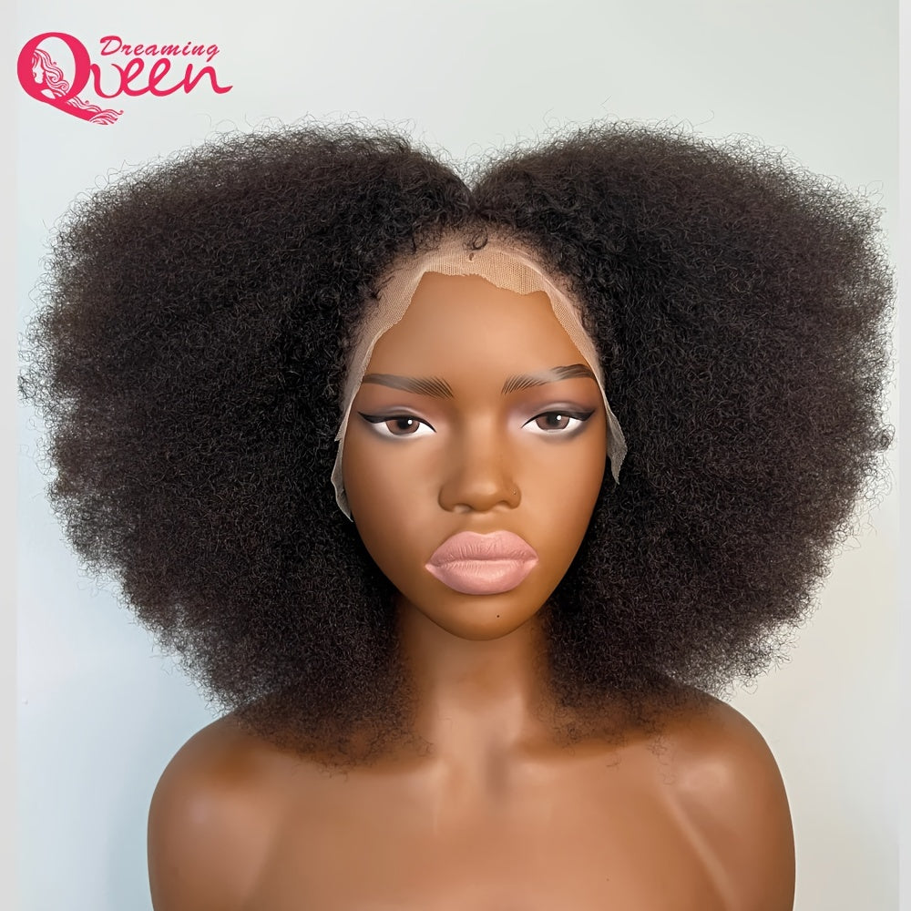 Afro Kinky Curly Lace Wig (180% Density )
